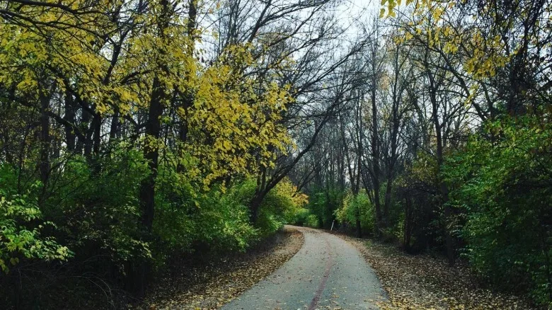 Leafy trail near Westfield, Indiana