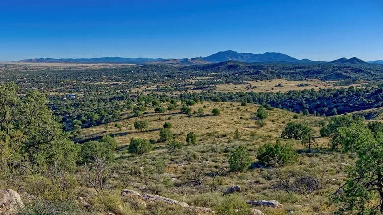 View of Mount Union, Arizona