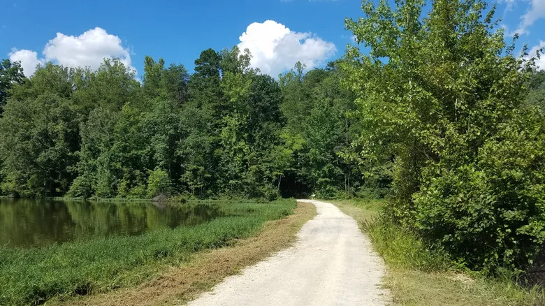 The loop trail at Salem Lake Park in Winston-Salem, NC
