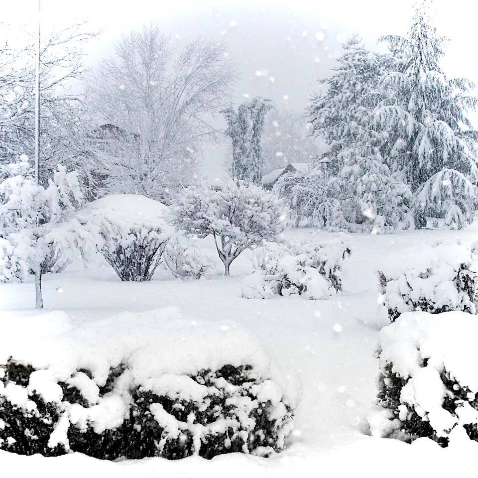 Snow covered landscape in Ashland Oregon