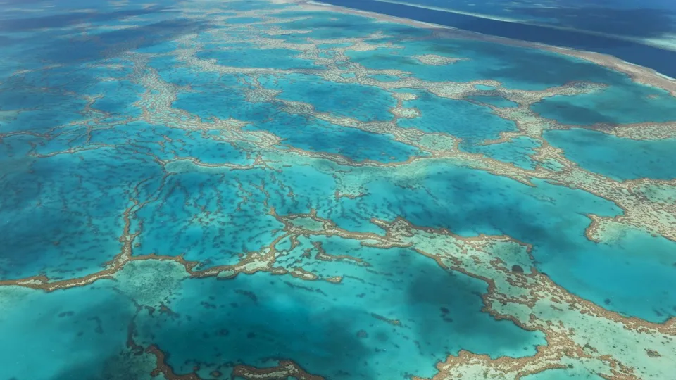 Great Barrier Reef, Queensland, Australia