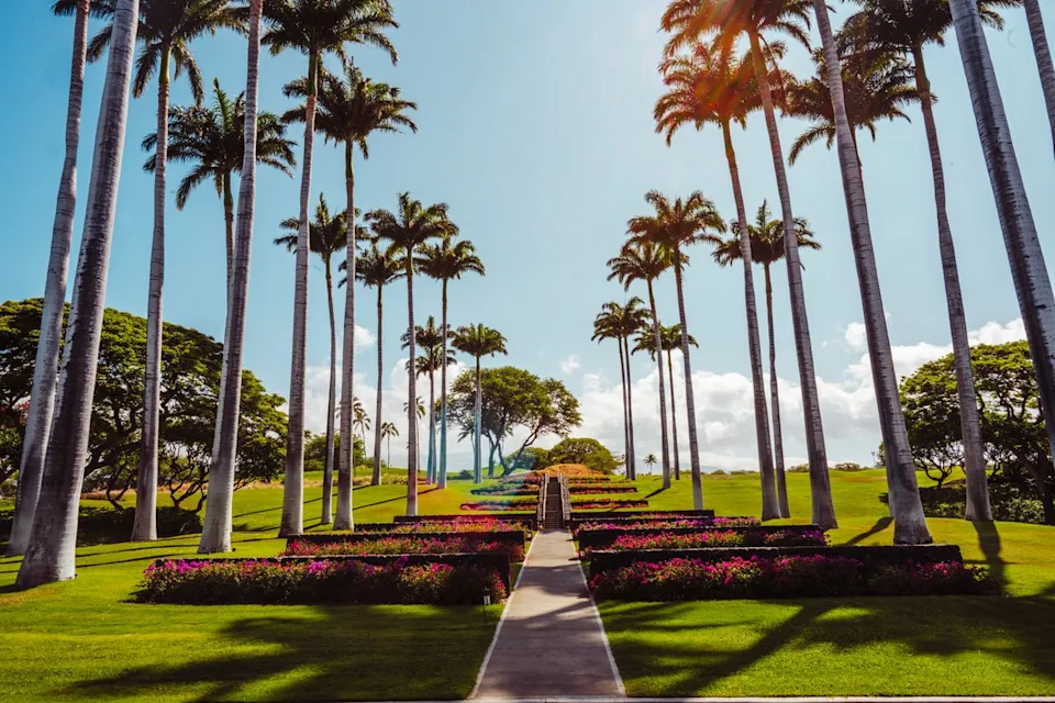 Taylor McIntyre/Travel + Leisure Palm tree lined stairs at Mauna Kea Beach Resort.