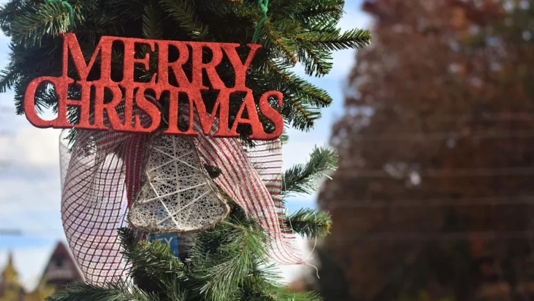 5 Christmas Towns In The Blue Ridge Mountains With Unmatched Hallmark Vibes