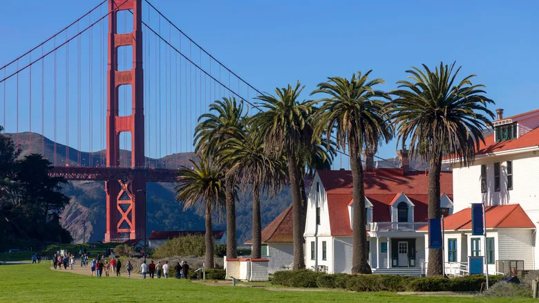 Crissy Field palm trees Golden Gate Bridge