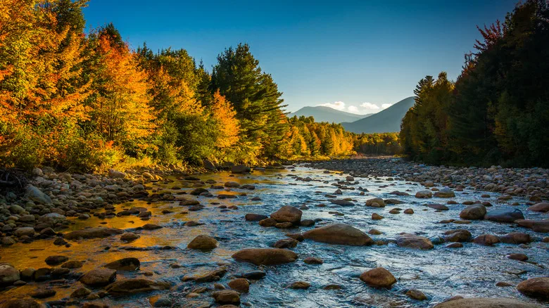 Water flowing in the Peabody River in the White Mountains of New Hampshire during an autumn day.