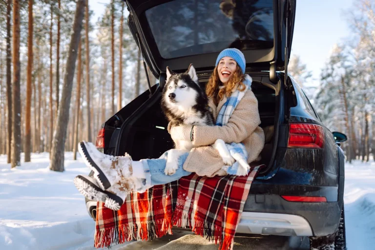 Essential Animal-Safety Tips Every Traveler Should Know