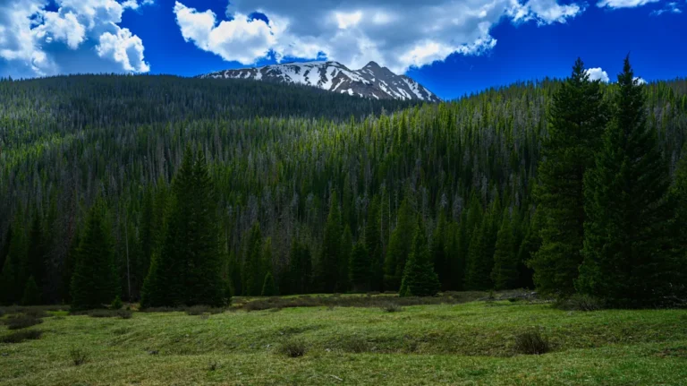 Hidden In Rocky Mountain National Park Is Colorado’s Once-Thriving Boomtown That’s Now A Secret Ghost Village