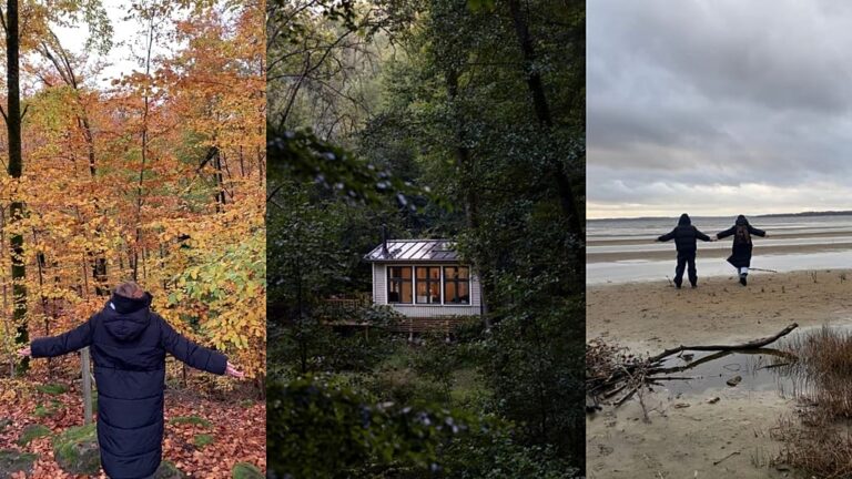 I spent a nearly silent weekend in a forest cabin in Sweden. Here’s what I learned