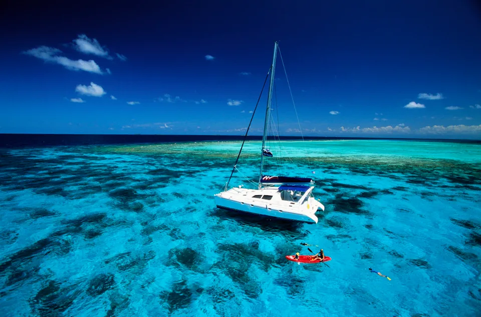 Photo by Onne van der Wal on Getty Images