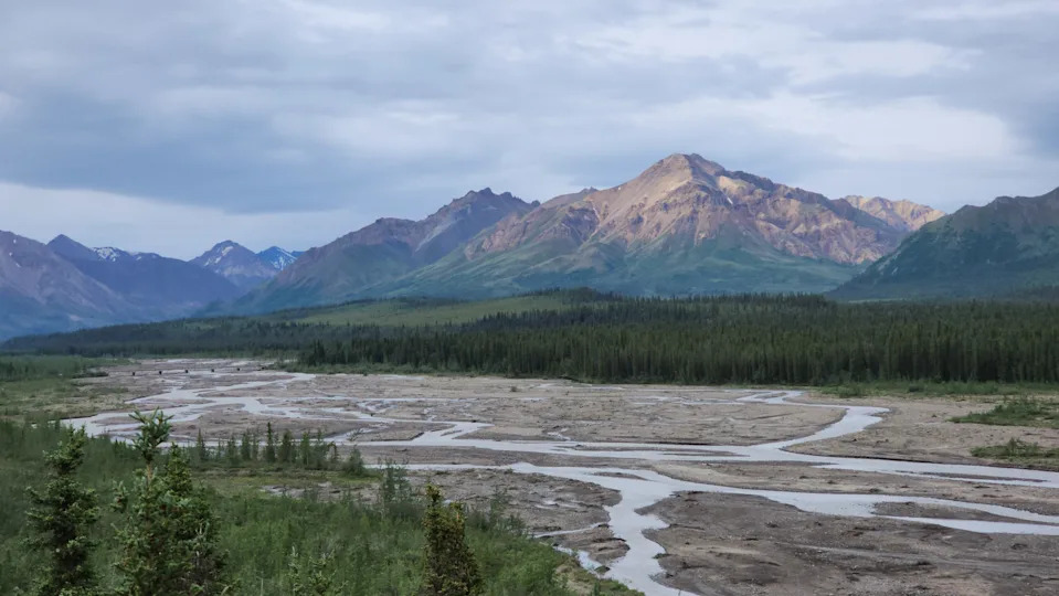 The overlook on one of the bathroom breaks on the Tundra Wilderness Tour