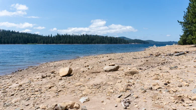 Pebbly beach on Union Valley Reservoir of California