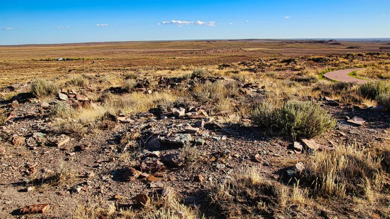 Ruins of Hopi pueblo in the middle of the desert