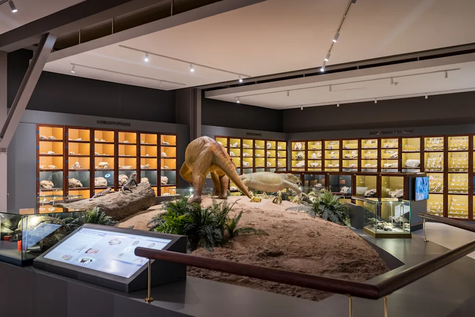 Exhibit space at Graaff-Reinet’s developing Fossil Centre highlighting the geological and prehistoric heritage of the Karoo.