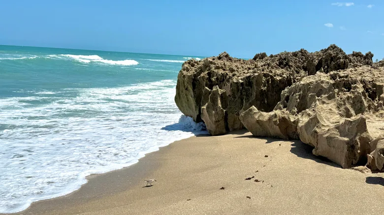 A beach in Stuart, Florida
