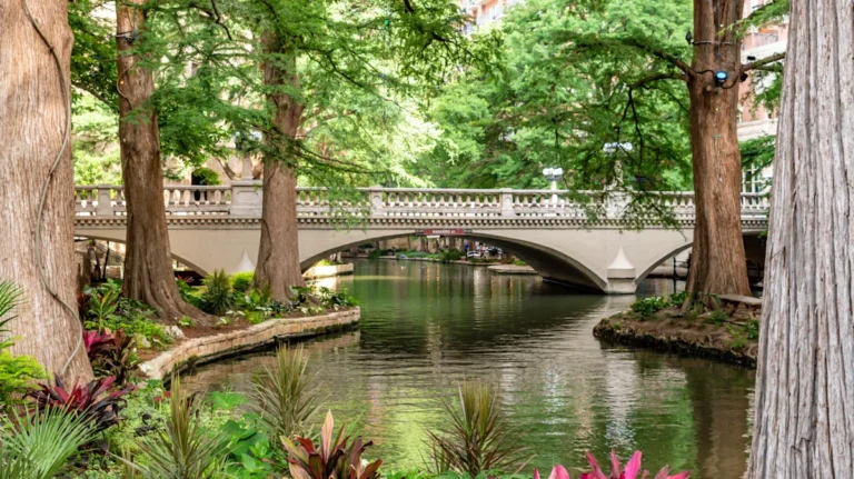 San Antonio’s Chic Neighborhood Hosts The City’s Top Attractions, Nightlife, And Artsy Vibes