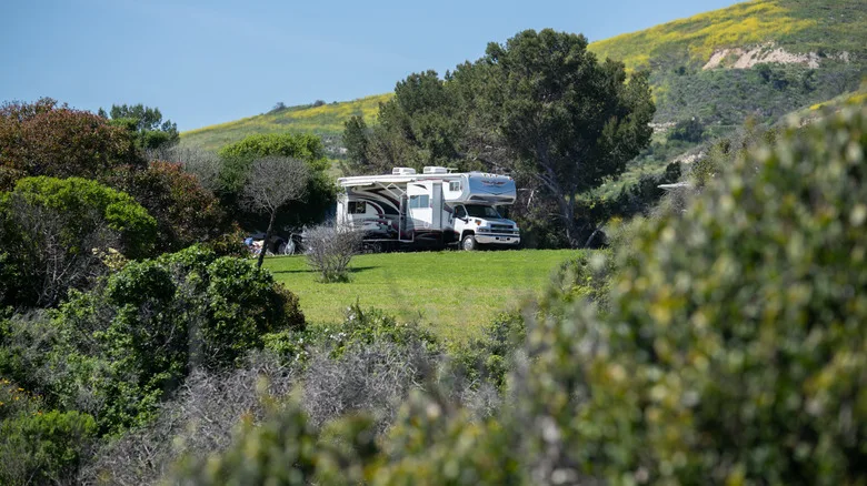 An RV tucked into the woods at the El Capitan State Beach Campground