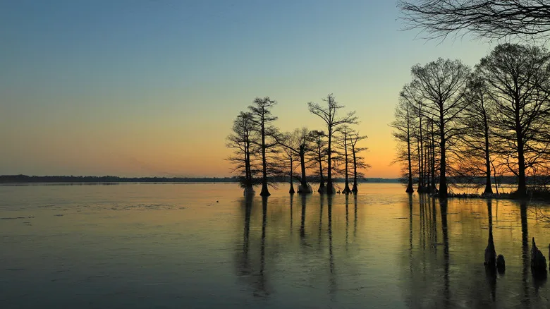 Tennessee's Reelfoot Lake under a colorful sunrise