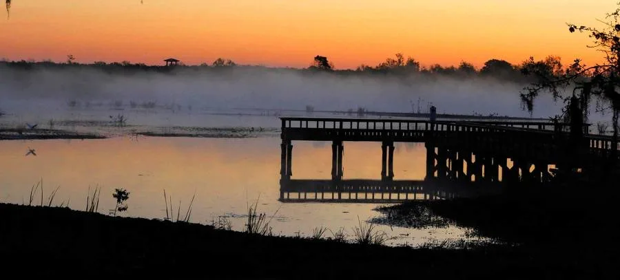 Brazos Bend State Park (Texas Parks and Wildlife Department photo)