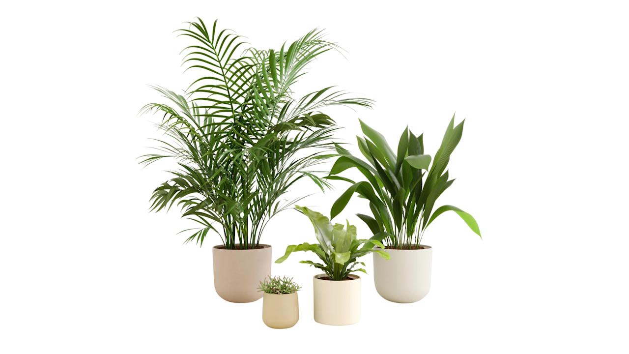 Image for the large product module