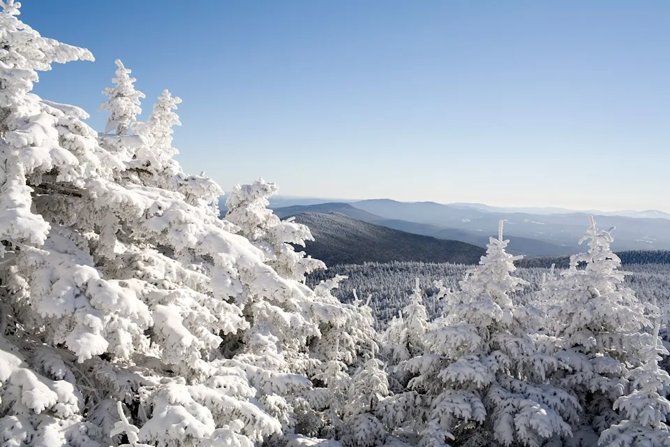 Johannes Kroemer/Getty Images Snow-covered trees on a clear winter day in Vermont.