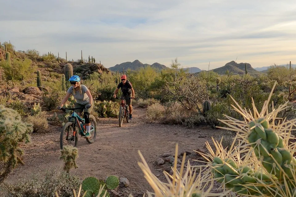 TFA / Ascent Xmedia / Getty Images Visitors biking through Saguaro National Park.