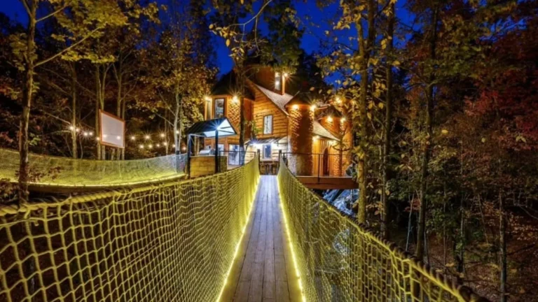 An Epic Treehouse Adventure Awaits At This Incredible Five Star Airbnb In Oklahoma