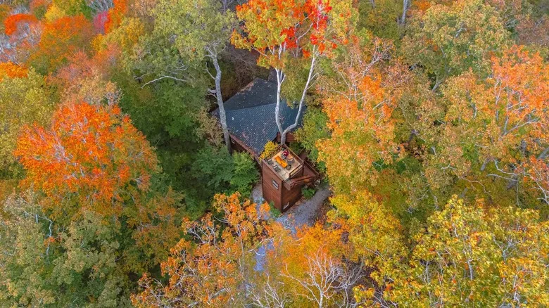 The cabin as seen above through the clearing in the trees with the observatory deck