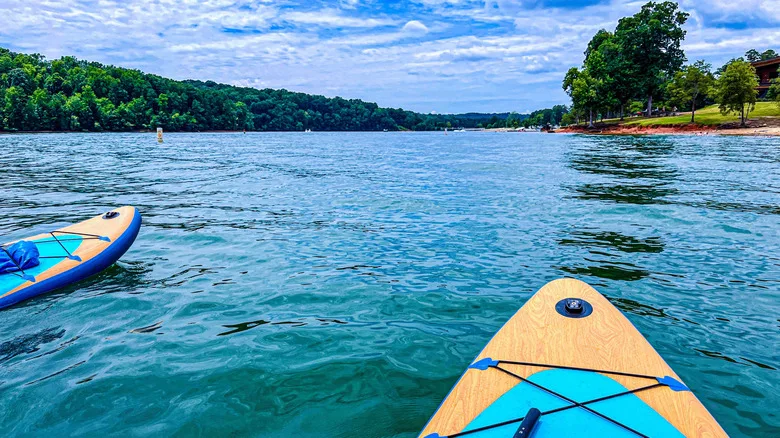 Paddleboards on Lake Hartwell