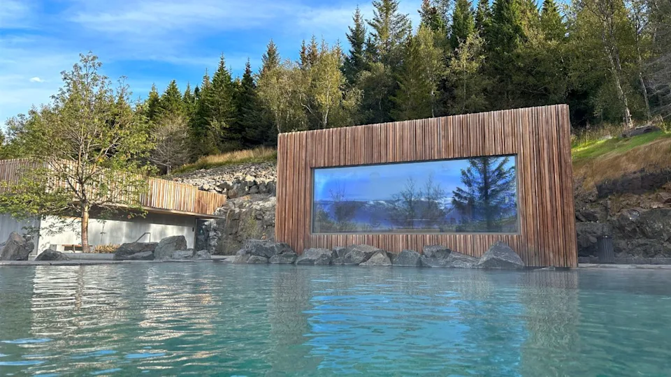 Forest Lagoon - Iceland