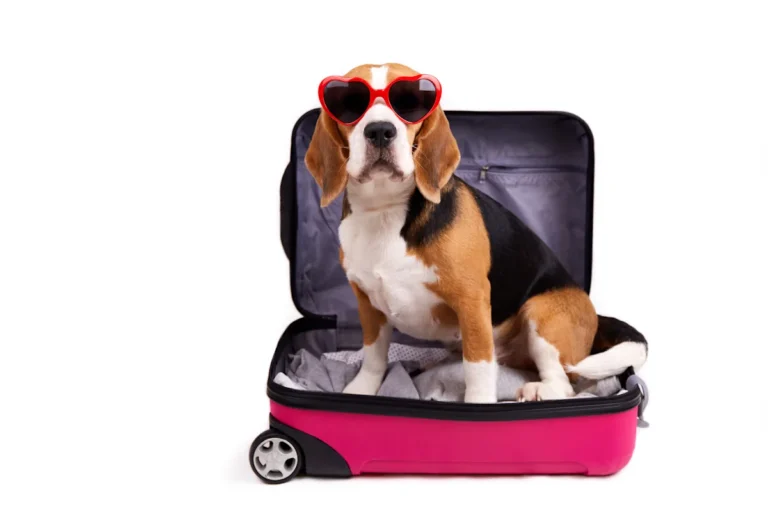 Tips, Rules, and What Most People Don’t Know