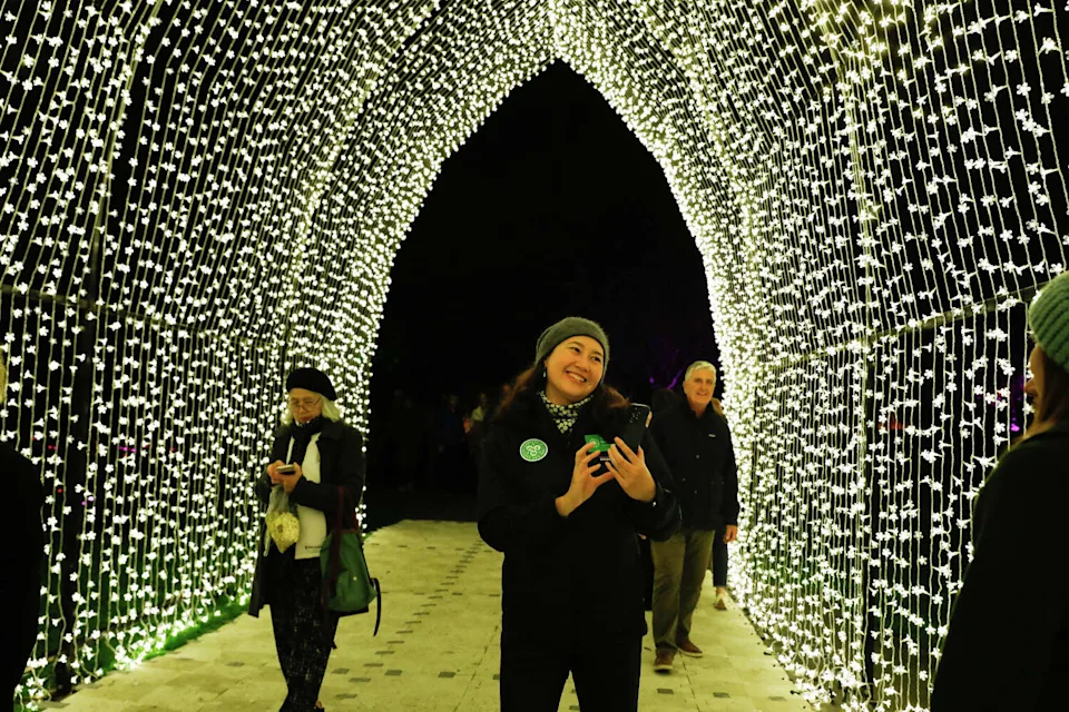 Sarah Marsh, chief experience officer for the Gardens of Golden Gate Park, takes a photo for visitors as she walks through the Winter Cathedral exhibit during inaugural and opening night of Lightscape at the San Francisco Botanical Garden on Nov. 21. (Lea Suzuki/S.F. Chronicle)