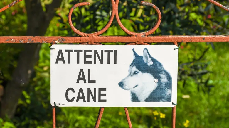 Italian "beware of dog" sign