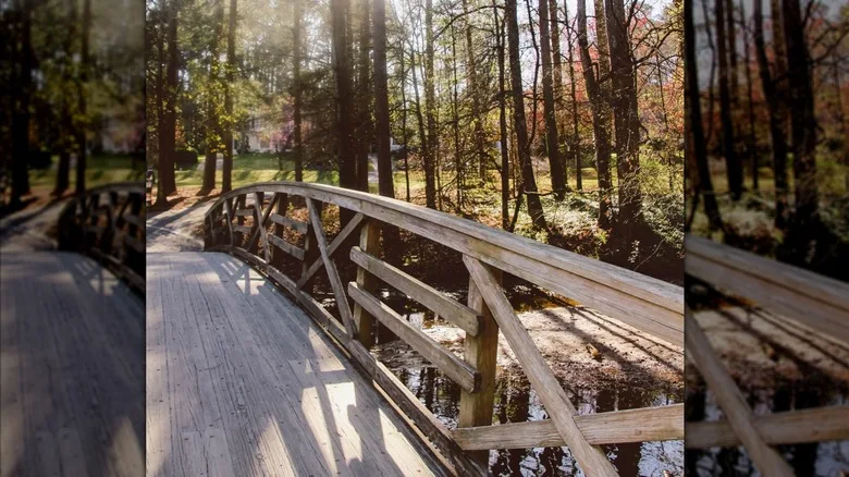 Lake at Bess Walker Park in Avondale Estates, Georgia