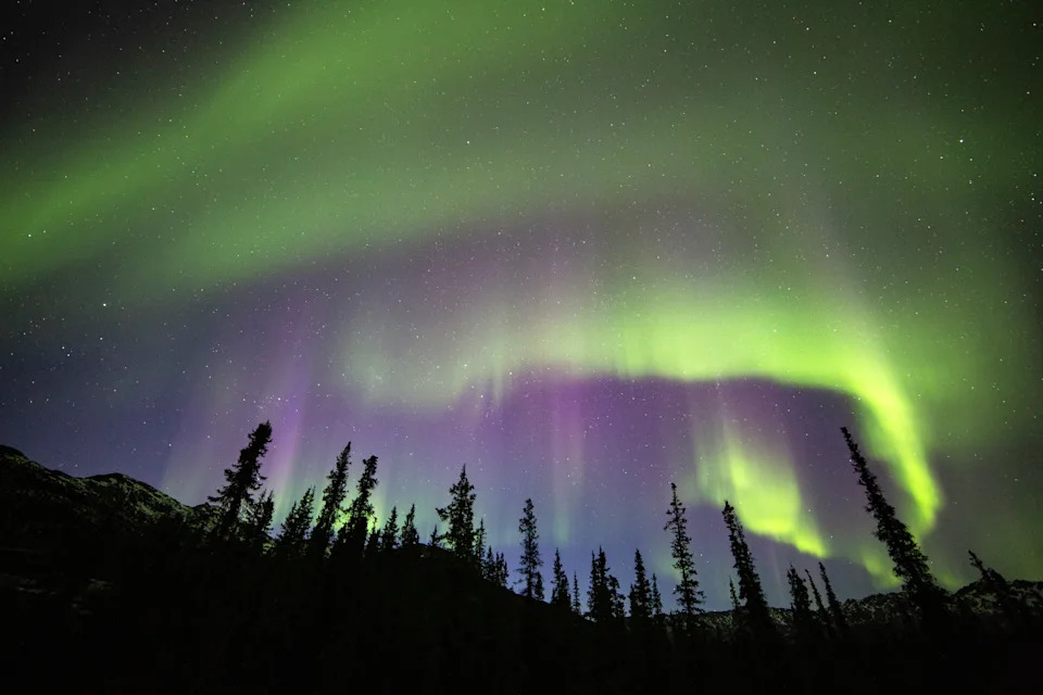 The Northern Lights over Denali National Parkin Alaska.