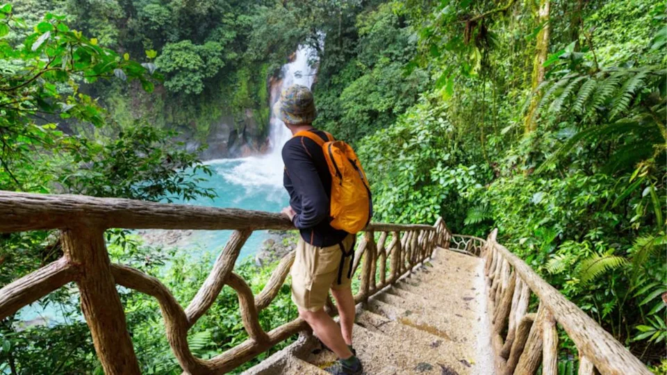 Hiking in green tropical jungle, Costa Rica, Central America