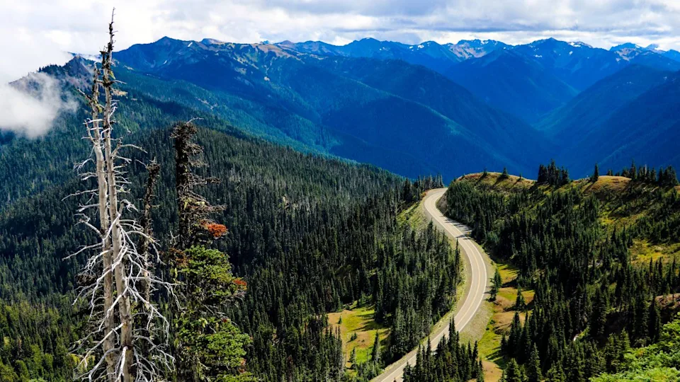 Olympic Peninsula, Washington