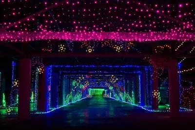 illuminated pathway featuring colorful lights in blue, green, red and more arcing overhead