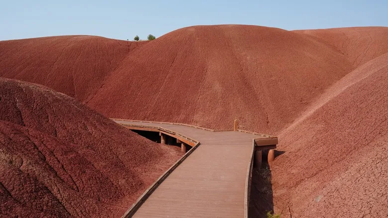 Boardwalk path in the Painted Hills