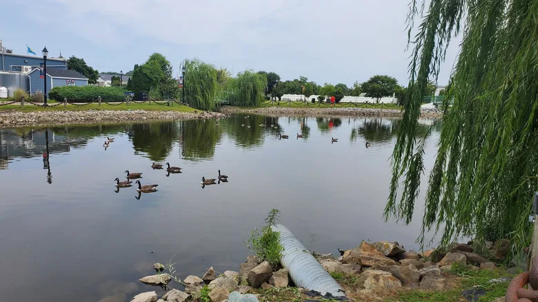Mispillion River walk in Milford, Delaware