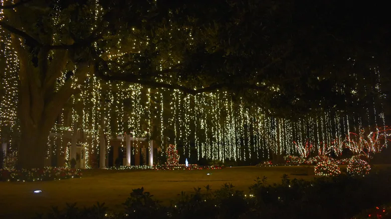 House trees and yard in River Oaks Houston decorated with Christmas lights