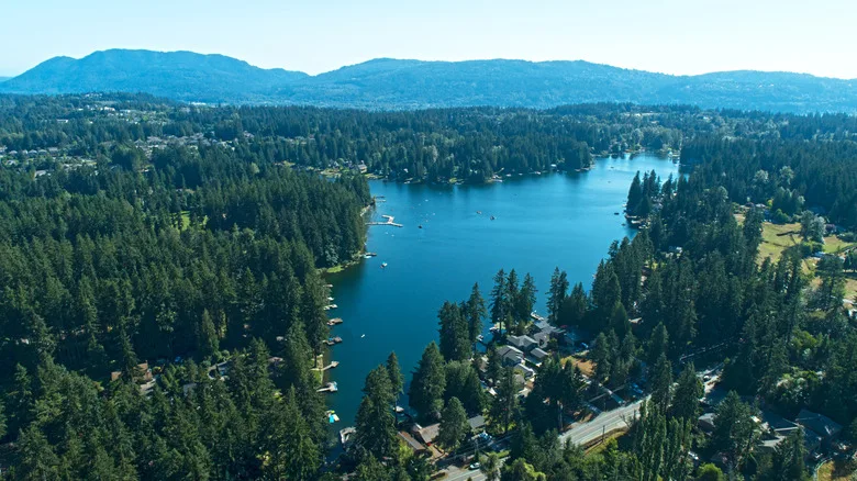 Mountains tower over Pine Lake nestled amid trees and homes