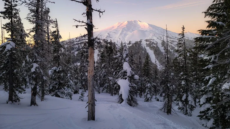 A snowy forest with Mount Bachelor in the distance