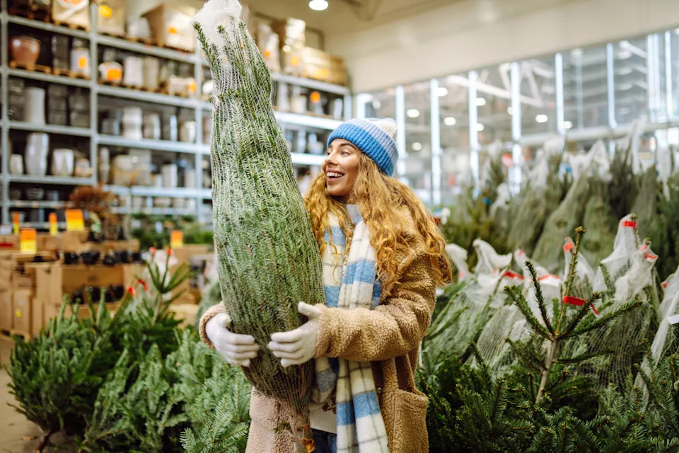 Young woman chooses and buys a Christmas tree for the holiday. Winter holidays.