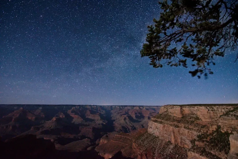 Grand Canyon’s 2026 residency brings art and astronomy to the rim