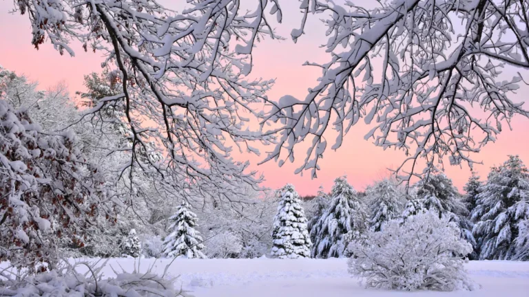 America’s 5 States With The Most Snow