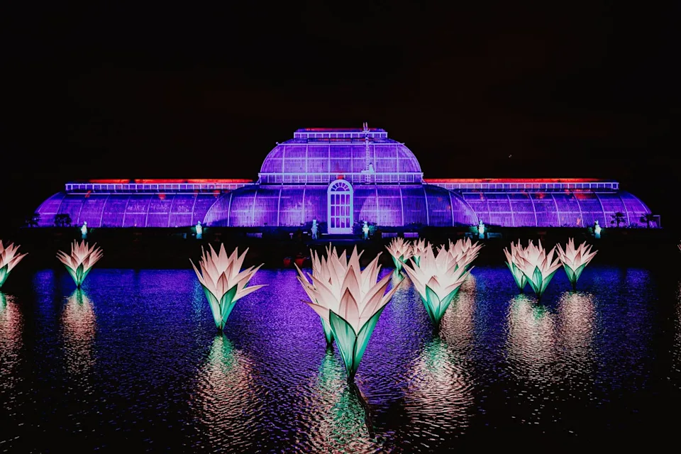 Experience Kew Gardens after dark during its festive light trail (Luke Dyson)