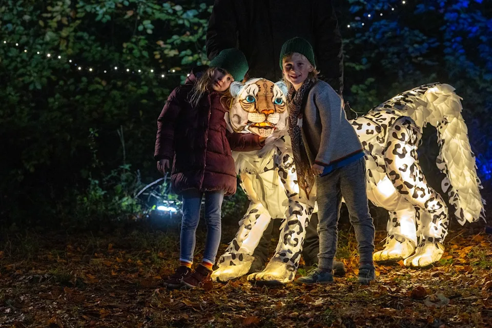 See animals illuminated at Chester Zoo (Chester Zoo)