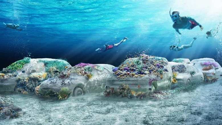 Snorkelers swimming above submerged concrete cars