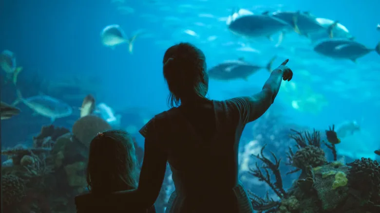 A woman and a girl looking at fish in an aquarium
