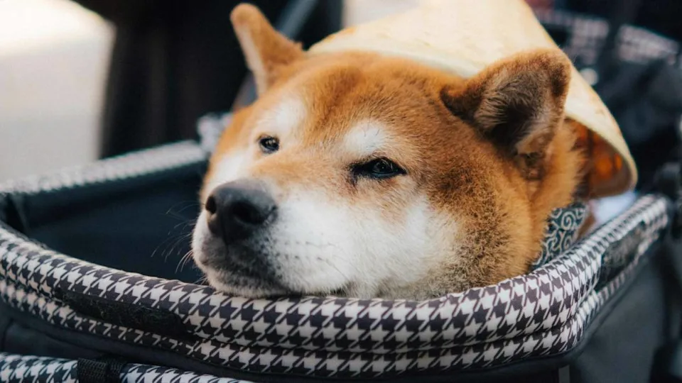 Photo by Gab Pili on Unsplash